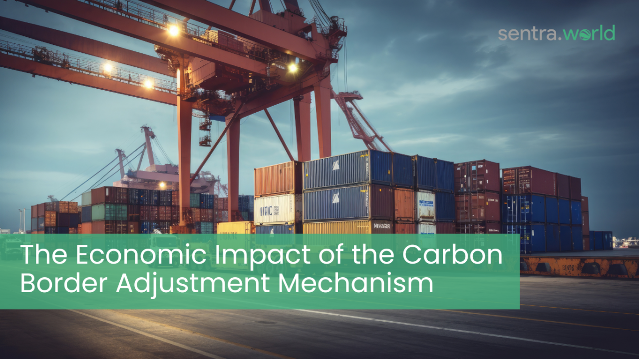 The Economic Impact of the Carbon Border Adjustment Mechanism