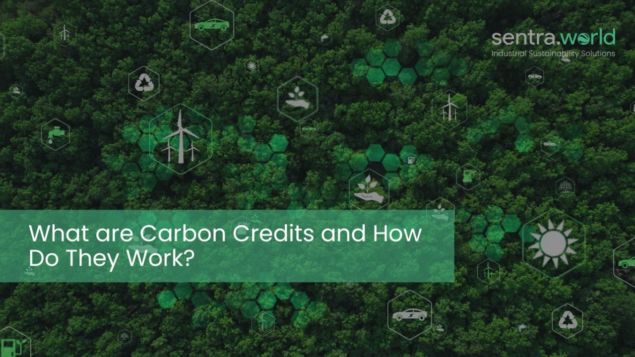 What are Carbon Credits and How Do They Work?