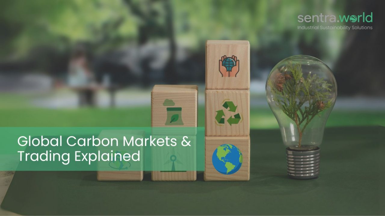 Global Carbon Markets & Trading Explained