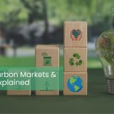 Global Carbon Markets & Trading Explained